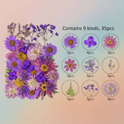 زهرة مضغوطة – F72