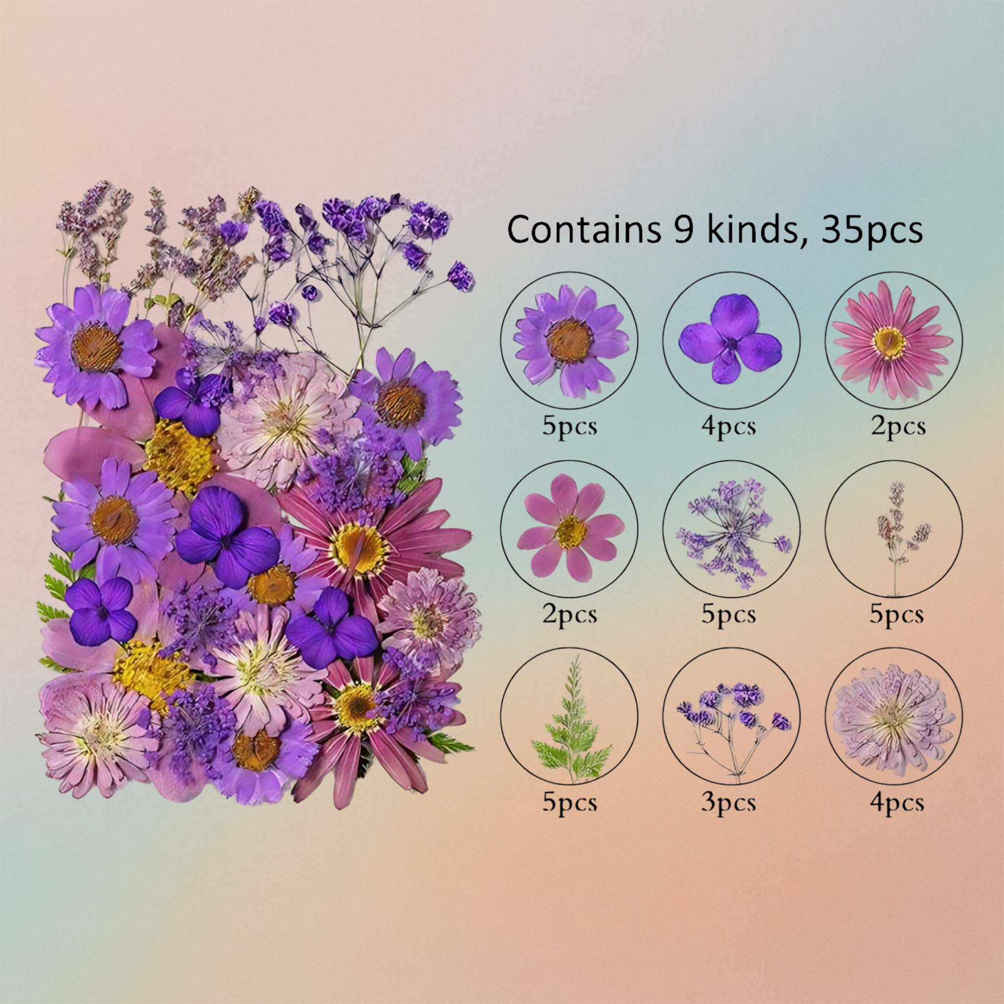 Pressed Flower – F72