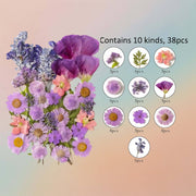 Pressed Flower – F74