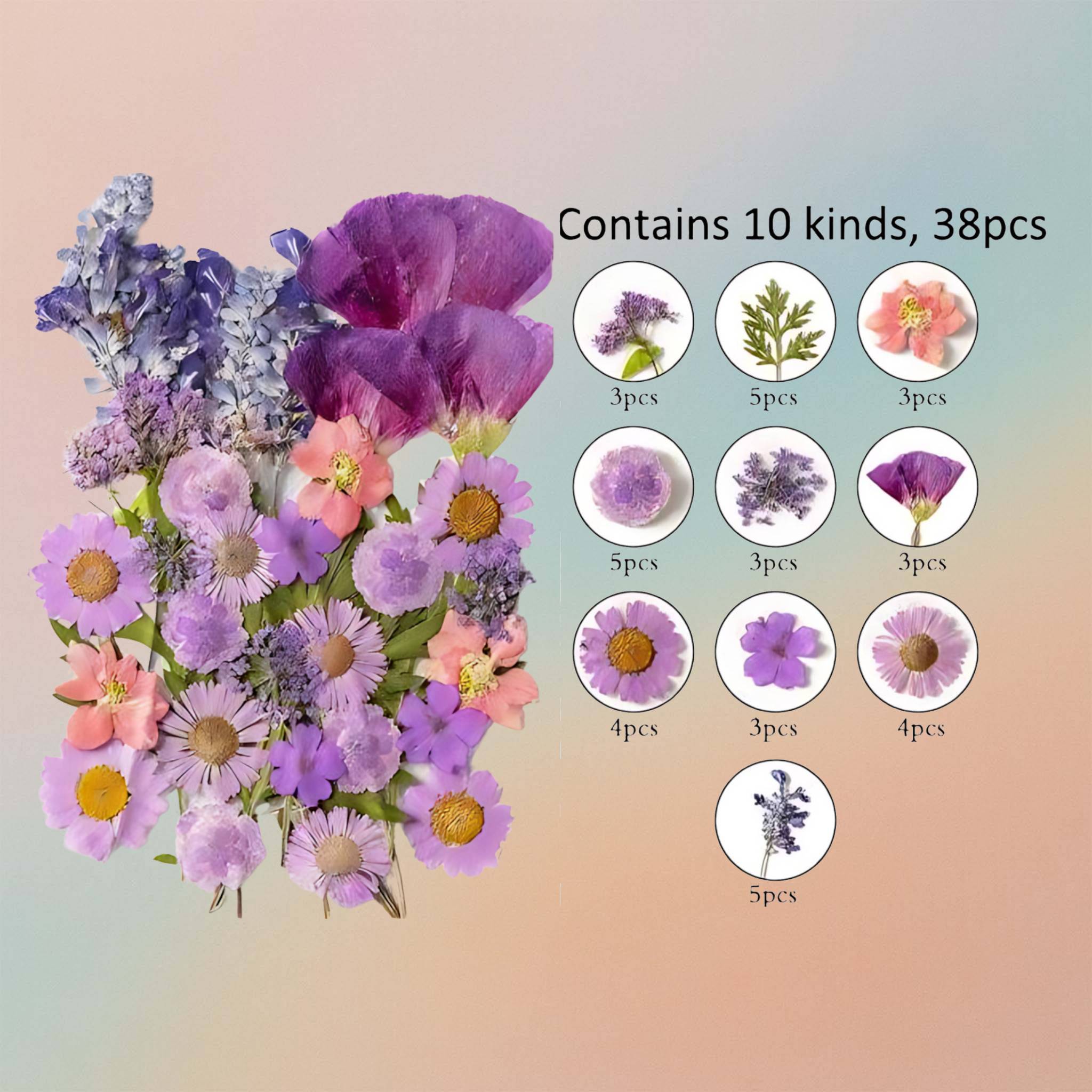 Pressed Flower – F74