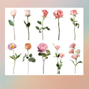 Red Roses Insert Sheet