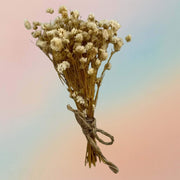 Small Bouquet Baby Breath Style D