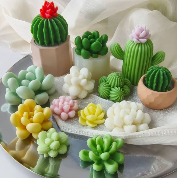 قالب سيليكون لشمعة الصبار العصاري