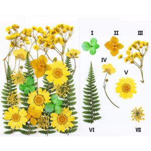 resin pressed flowers jewelry, epoxy resin flowers, flower resin kit, tiny dried flowers for resin, wholesale dried flowers for resin, best resin for dried flowers, best resin for flowers,