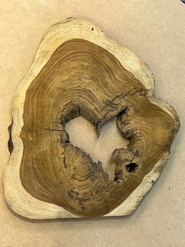 Natural Shaped Wood Slab