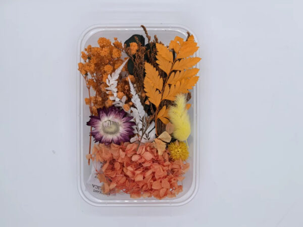 Dried Real Flower For Resin Art - Style 5