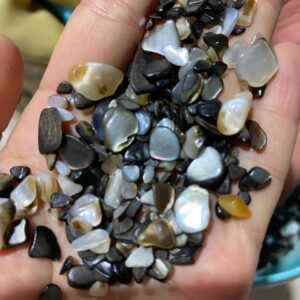Polished Crushed Black Mother of Pearl Shell Chips for DIY Crafts