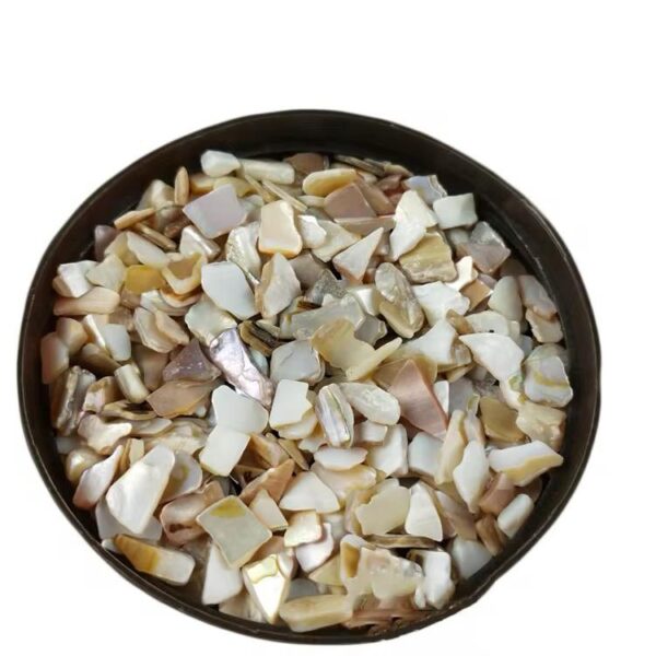 Crushed Natural Sea Shell Chips for DIY Art Projects