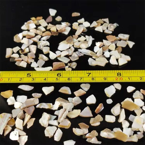 Crushed Natural Sea Shell Chips for DIY Art Projects - Image 2